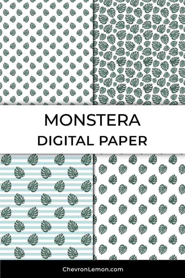 MOnstera leaves digital paper