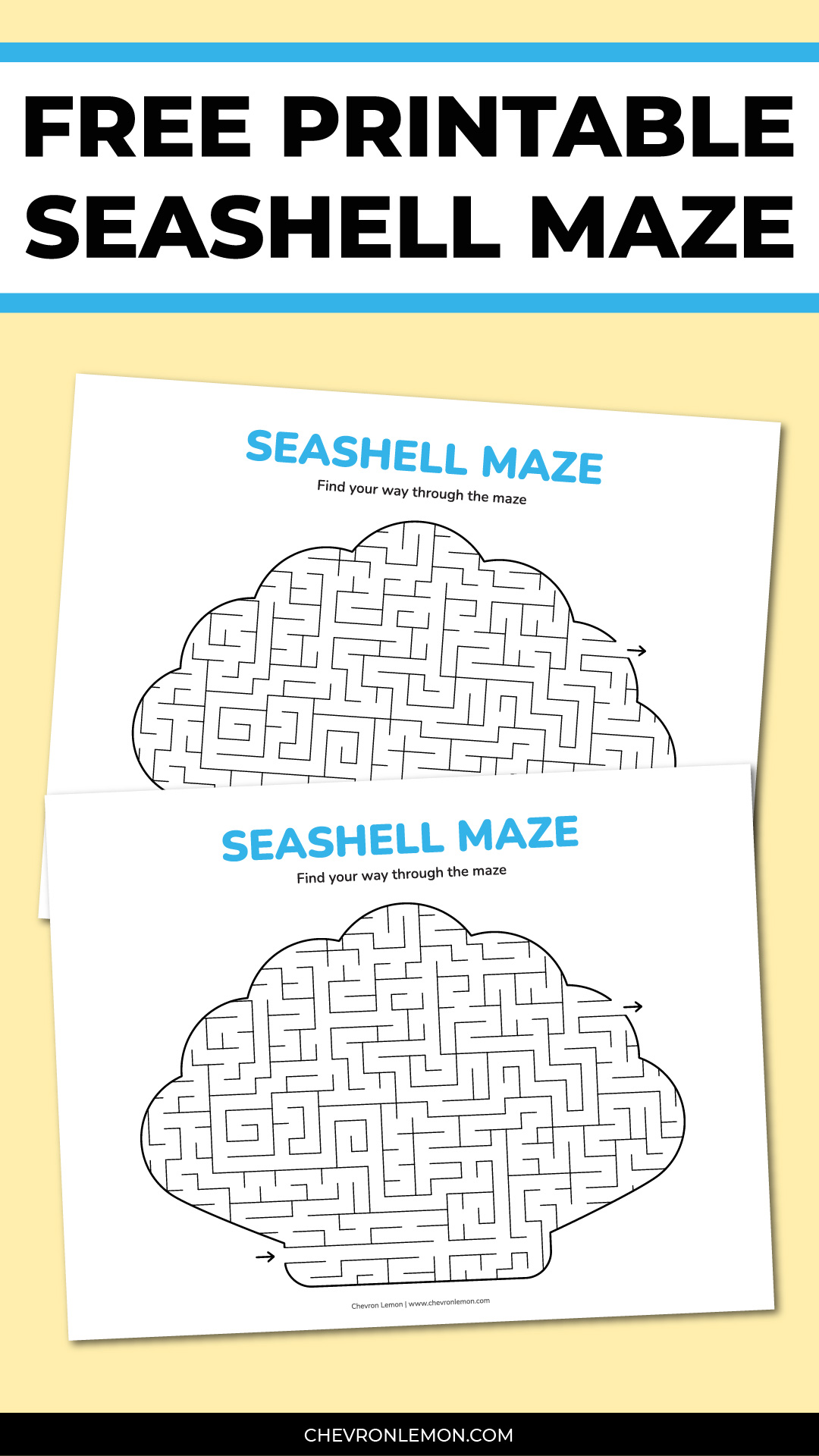 Seashell maze