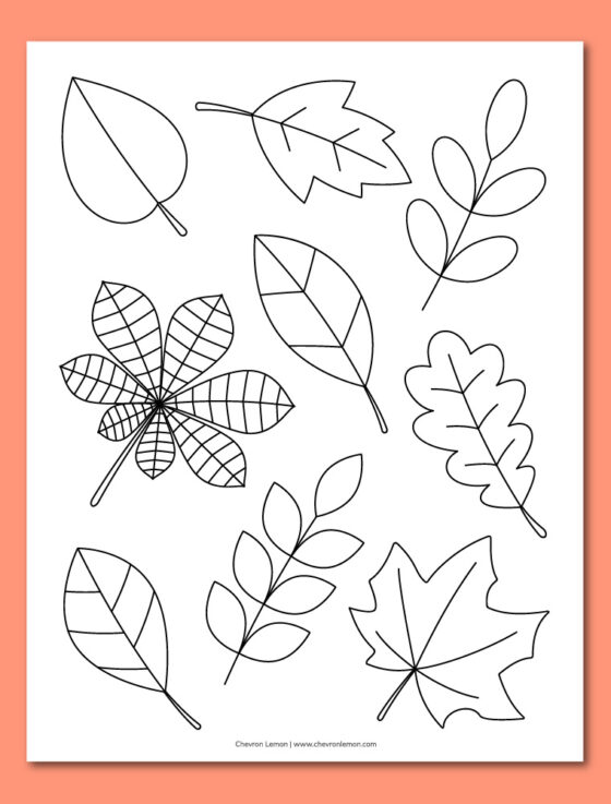 Printable fall leaves coloring page - Chevron Lemon