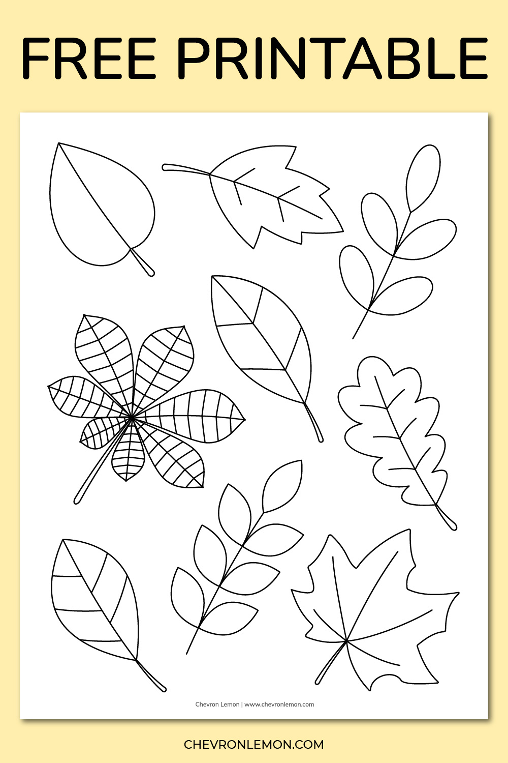 Printable fall leaves coloring page